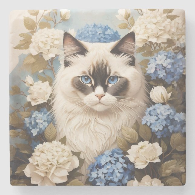 Ragdoll-katter med blå Hydrangea-blommor Stenunderlägg (Framsidan)