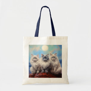 Ragdoll-katter Tygkasse