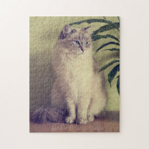 Ragdoll kattJigsaw Pussel
