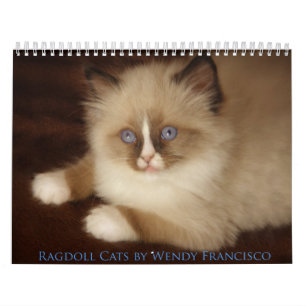 Ragdoll kattkalender kalender