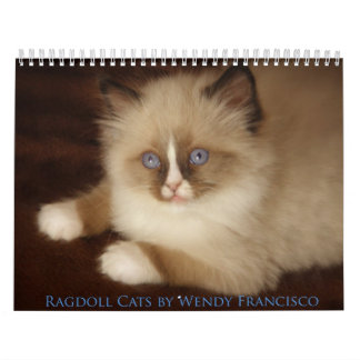 Ragdoll kattkalender kalender