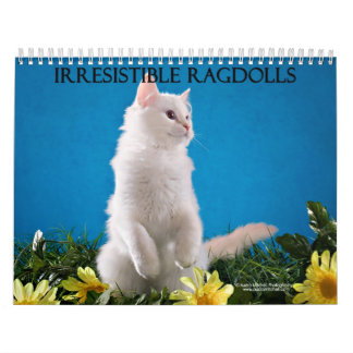 Ragdoll kattkalender kalender