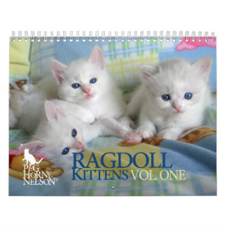Ragdoll kattungar Vol. En kalender