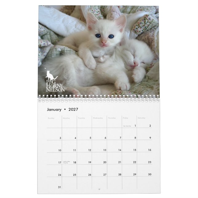 Ragdoll kattungar Vol. En kalender (Jan 2027)