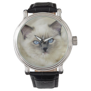 Ragdoll-kattunge Armbandsur