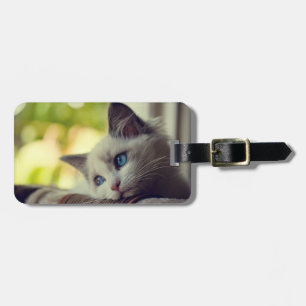 Ragdoll kattunge bagagebricka