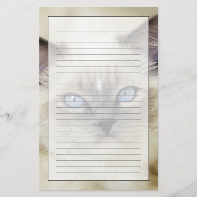 Ragdoll-kattunge Brevpapper (Framsida)