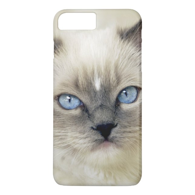 Ragdoll-kattunge Case-Mate iPhone Skal (Baksida)