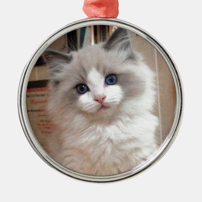 Ragdoll kattunge Cutie Julgransprydnad Metall (Framsidan)