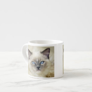 Ragdoll-kattunge Espressomugg