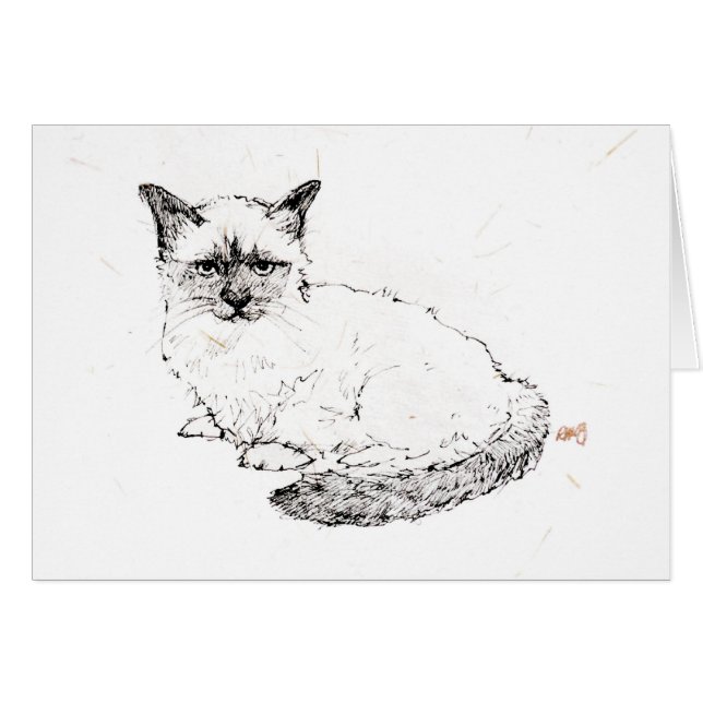 Ragdoll kattunge hälsningskort (Framsidan Horizontal)