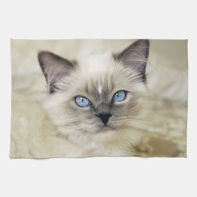 Ragdoll-kattunge Kökshandduk (Horisontell)