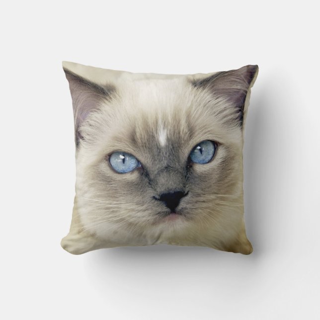 Ragdoll-kattunge Kudde (Framsida)