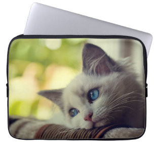 Ragdoll kattunge laptop fodral