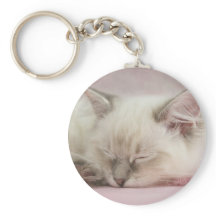 ragdoll-kattunge nyckelring