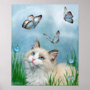 Ragdoll kattunge och fjärilskonstaffisch/tryck poster