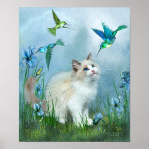 Ragdoll Kattunge och Hummingbird Art Poster/Skriv  Poster