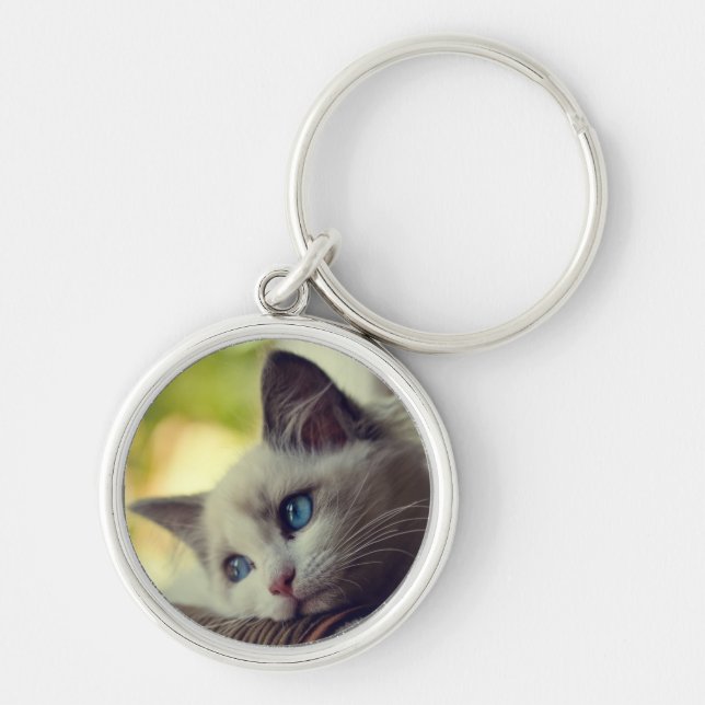 Ragdoll kattunge rund silverfärgad nyckelring (Framsidan)