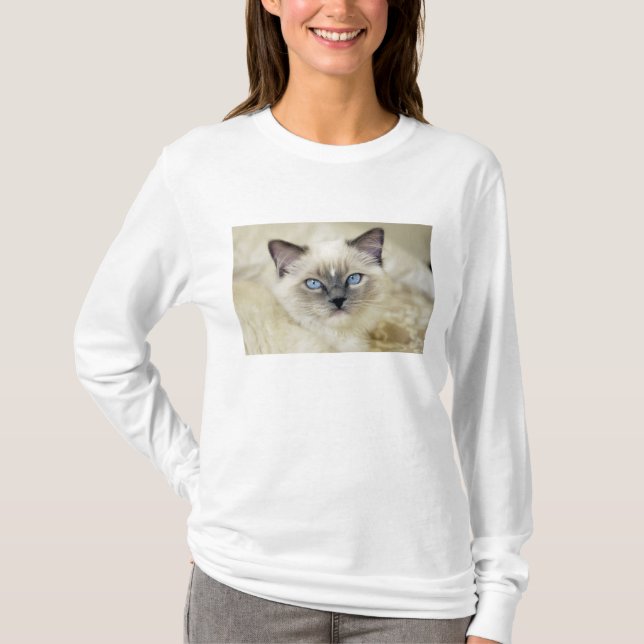 Ragdoll-kattunge T-shirt (Framsida)