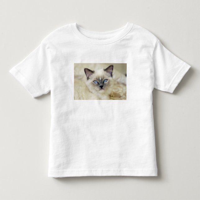 Ragdoll-kattunge Tee Shirt (Framsida)