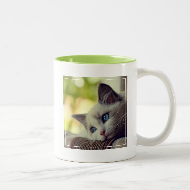 Ragdoll kattunge Två-Tonad mugg (Höger)