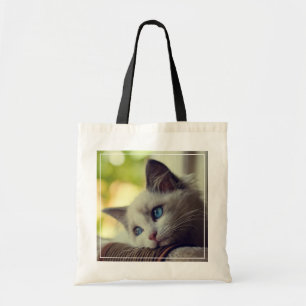 Ragdoll kattunge tygkasse