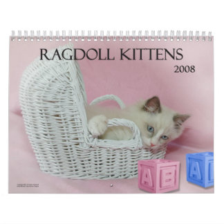Ragdoll kattungekalender kalender