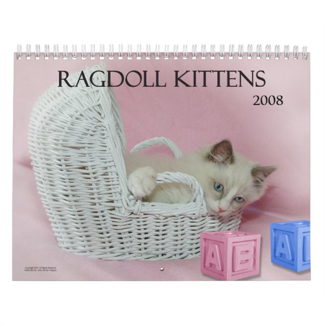 Ragdoll kattungekalender kalender (Omslag)