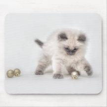 Ragdoll kattungemousepad