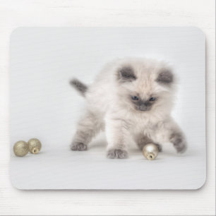 Ragdoll kattungemousepad musmatta