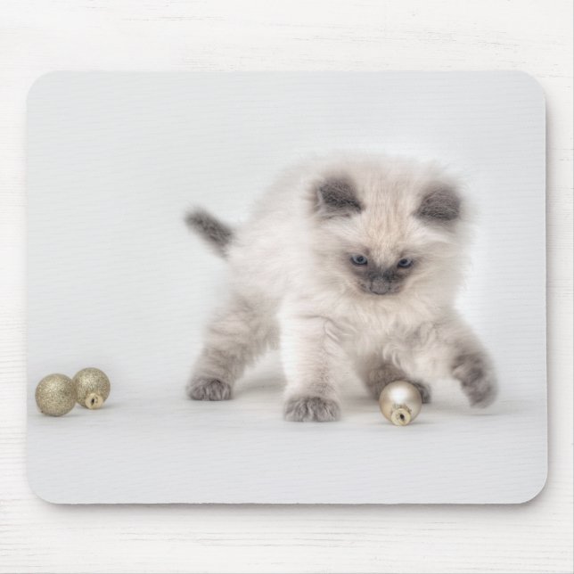 Ragdoll kattungemousepad musmatta (Framsidan)