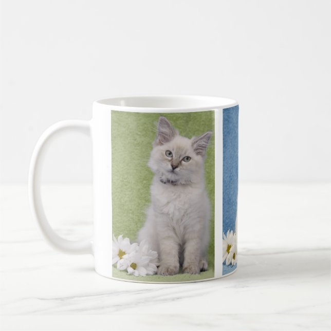 Ragdoll kattungemugg kaffemugg (Vänster)