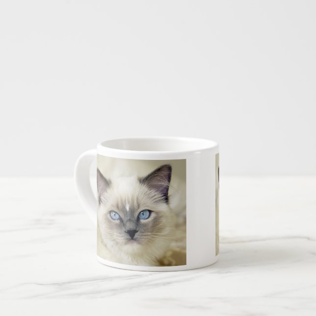 Ragdoll kitten espressomugg (Framsida vänster)
