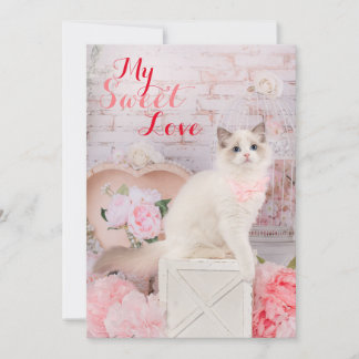 Ragdoll Kitten Flat Helgdag Card Julkort