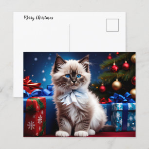 Ragdoll Kitten Julklapp Helg Vykort