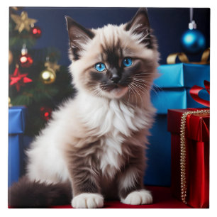 Ragdoll Kitten Julklapp Kakelplatta