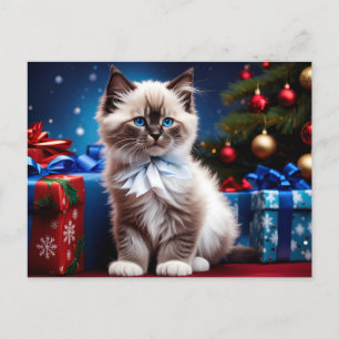 Ragdoll Kitten Julklapp Vykort