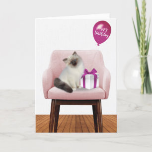 Ragdoll Kitten med födelsedagspresent Kort