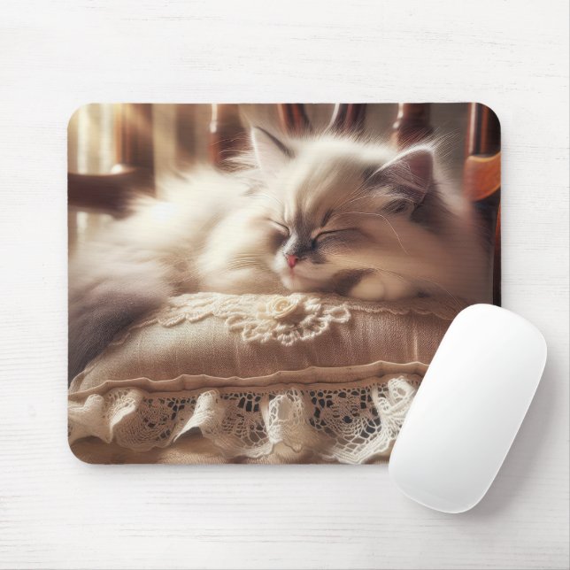 Ragdoll Kitten på en Pillow Musmatta (Med mus)