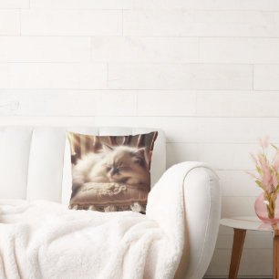 Ragdoll Kitten sover på en påk Kudde