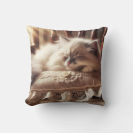 Ragdoll Kitten sover på en påk Kudde
