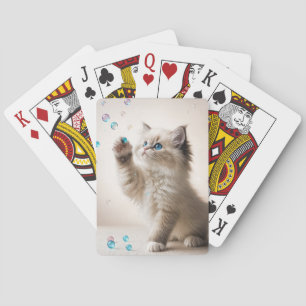 Ragdoll Kitten spelar med bubblor Casinokort