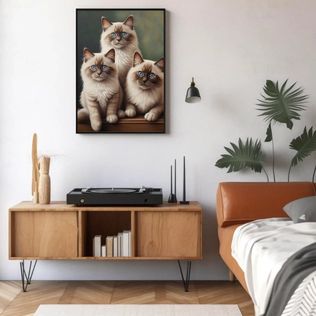 Ragdoll Kittens Sweet Cat Poster (Skapare uppladdad)