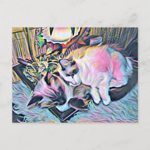 Ragdoll Kittens Vykort