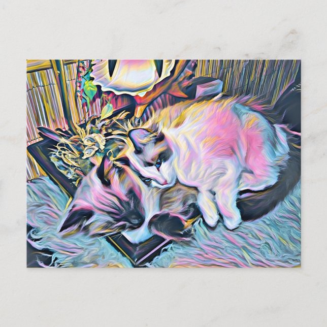 Ragdoll Kittens Vykort (Framsida)