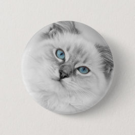 ragdoll knäppas knapp