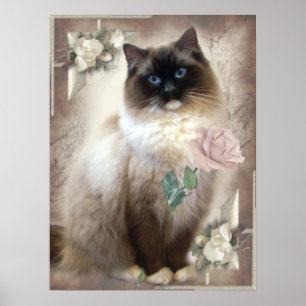 Ragdoll med enkel ro poster