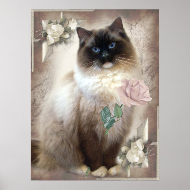 Ragdoll med enkel ro poster (Framsidan)