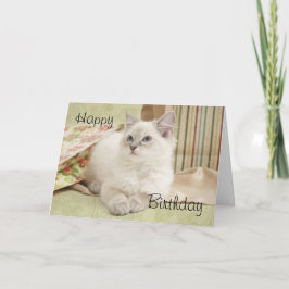 Ragdoll med presentsäckar, födelsedagskort kort