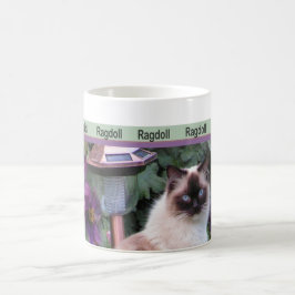 Ragdoll muggar